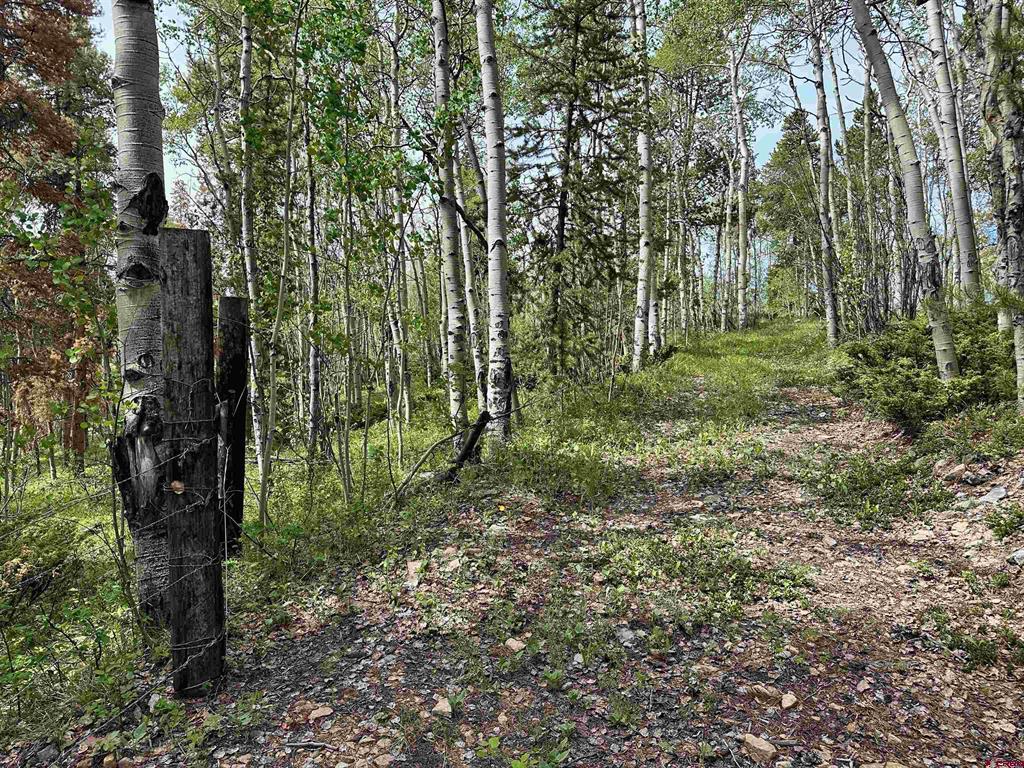 Tbd County Road 743 Gunnison CO 81230