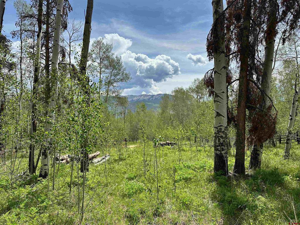 Tbd County Road 743 Gunnison CO 81230