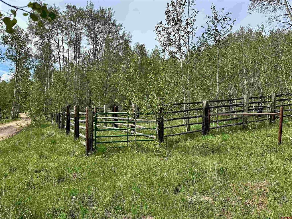 Tbd County Road 743 Gunnison CO 81230