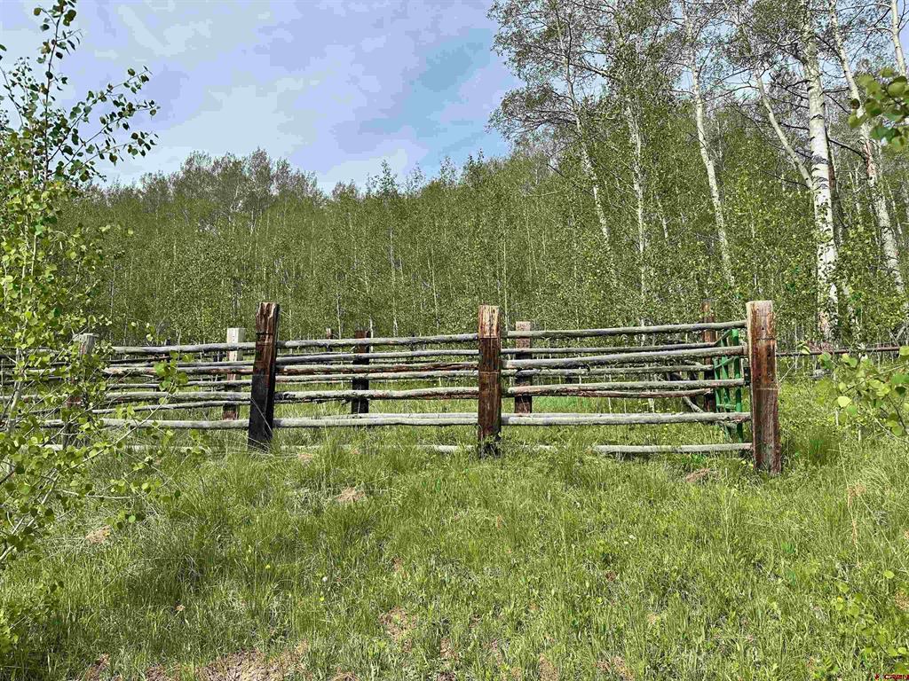 Tbd County Road 743 Gunnison CO 81230