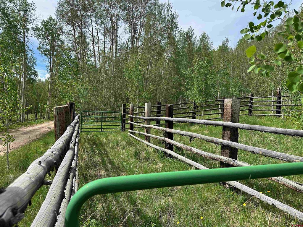 Tbd County Road 743 Gunnison CO 81230
