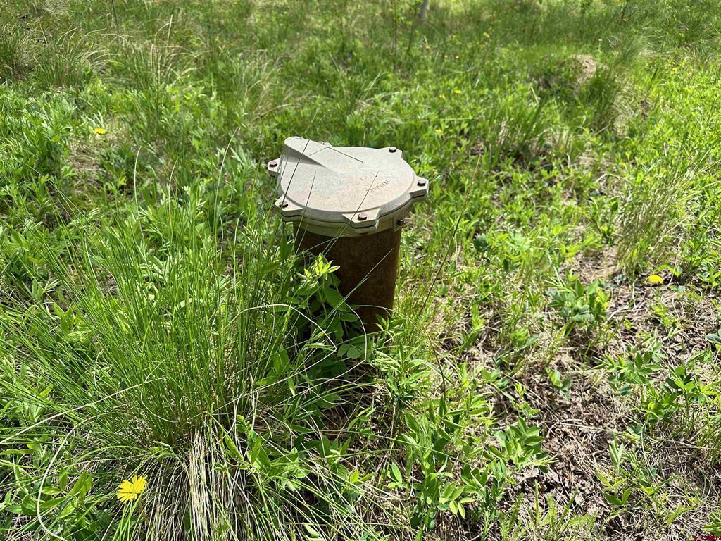 Tbd County Road 743 Gunnison CO 81230