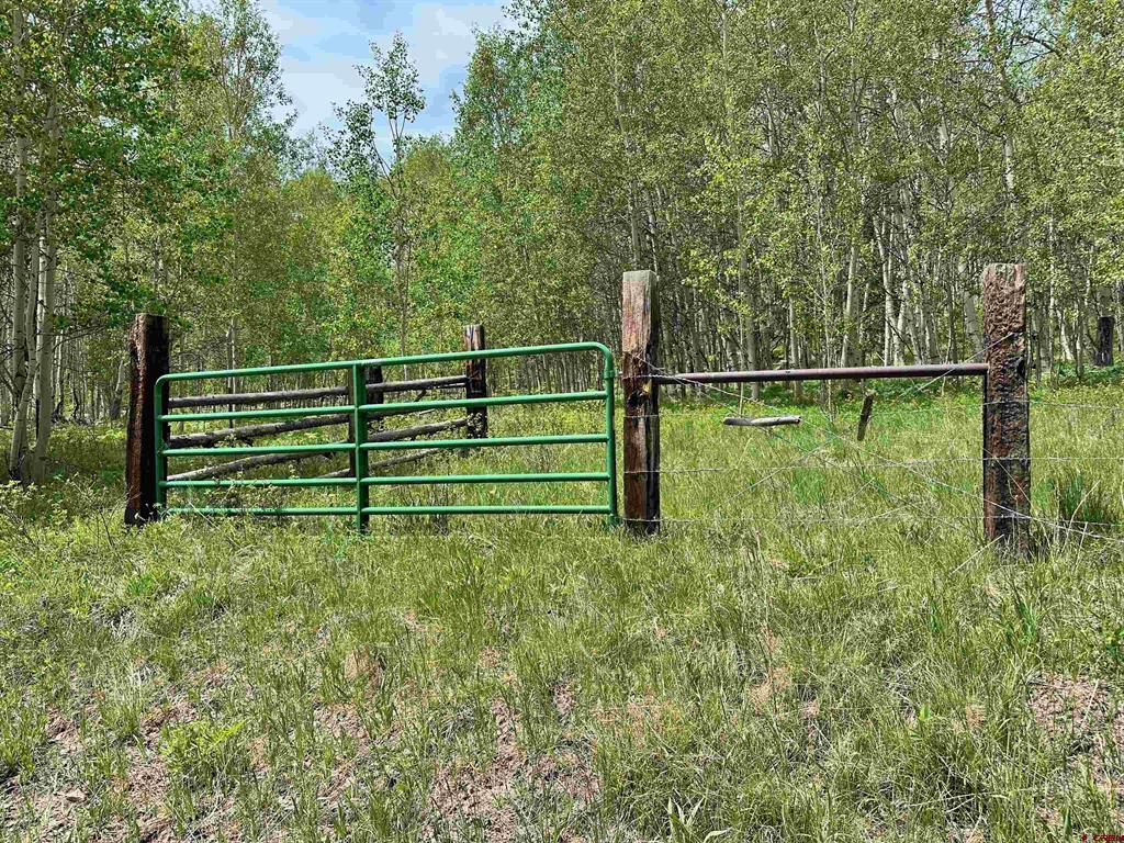 Tbd County Road 743 Gunnison CO 81230