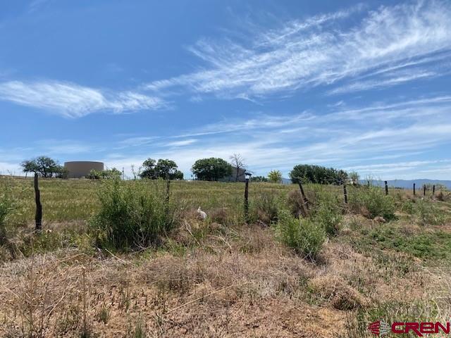 292 Sunflower Lane Bayfield CO 81122