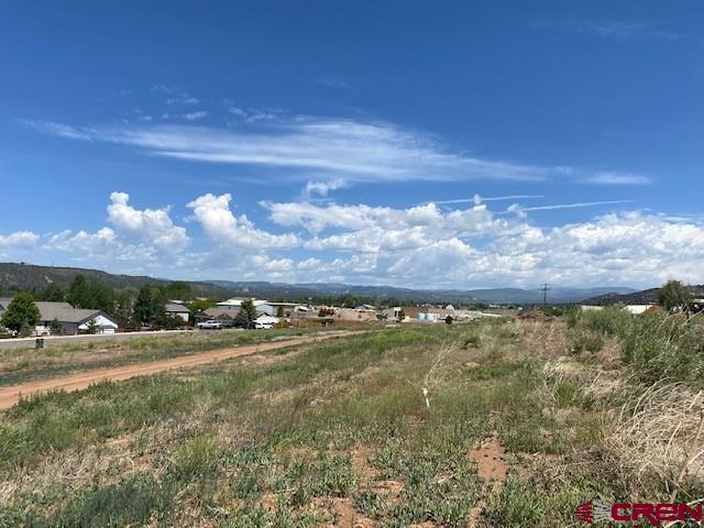 292 Sunflower Lane Bayfield CO 81122