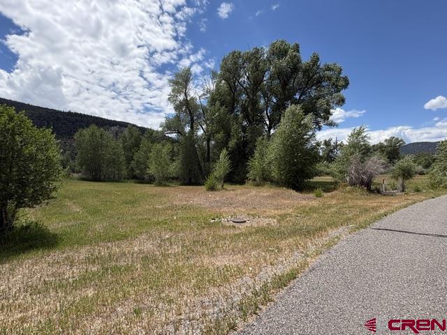 216 W Riverside Court South Fork CO 81154