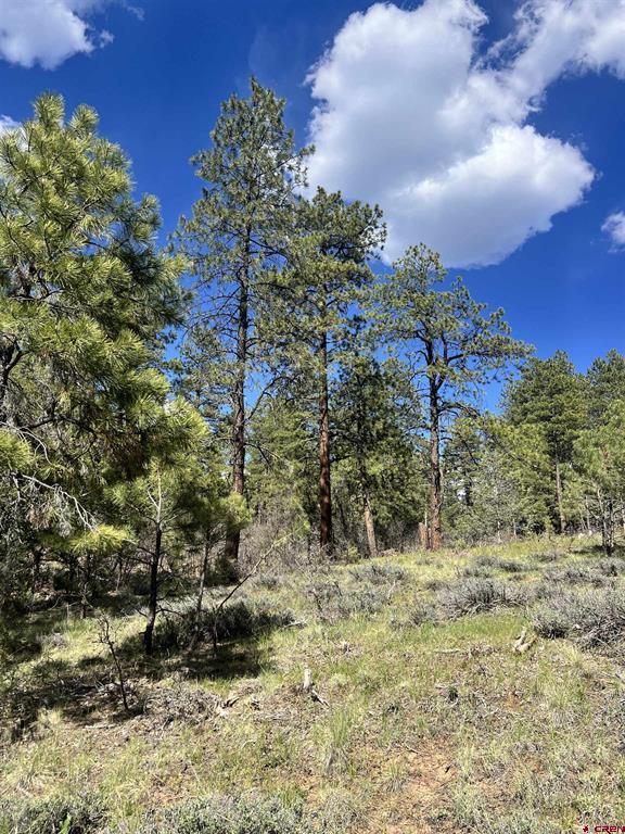 167 Justins Road Pagosa Springs CO 81147