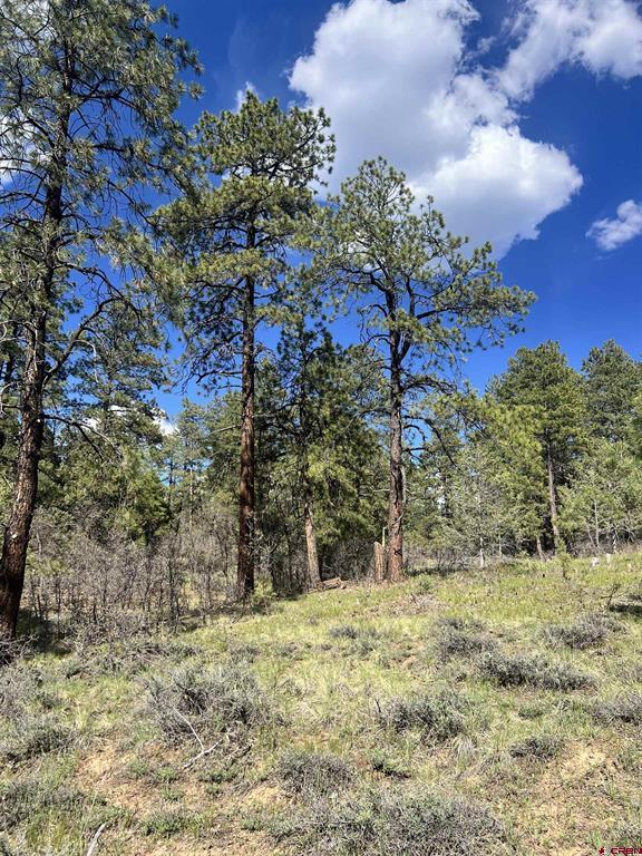 167 Justins Road Pagosa Springs CO 81147