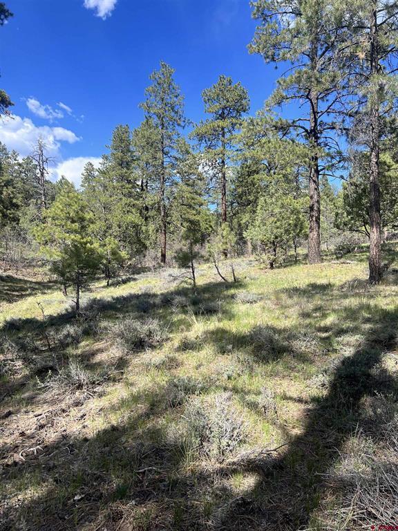 167 Justins Road Pagosa Springs CO 81147