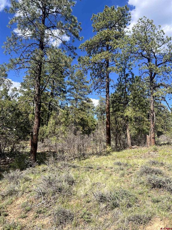 167 Justins Road Pagosa Springs CO 81147