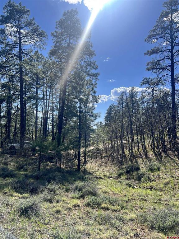 167 Justins Road Pagosa Springs CO 81147