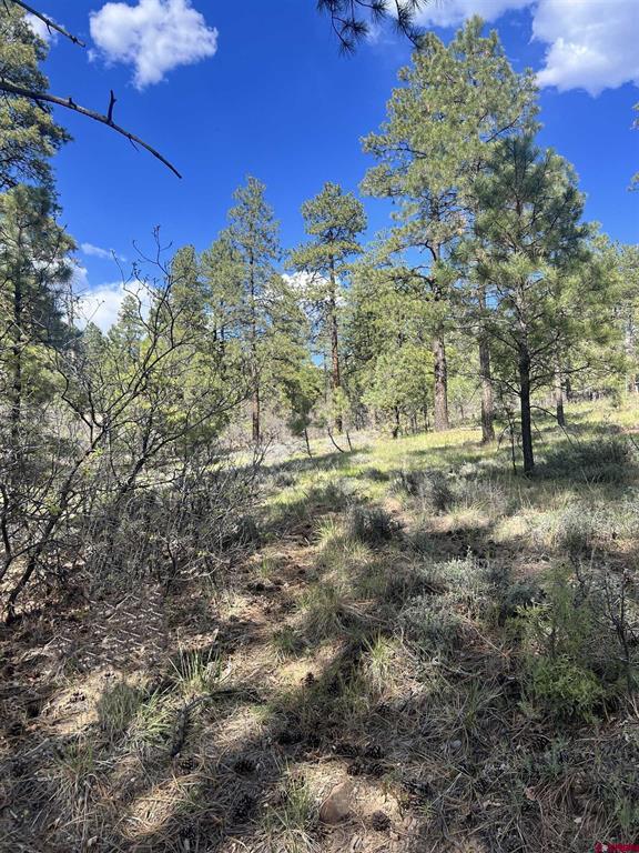 167 Justins Road Pagosa Springs CO 81147