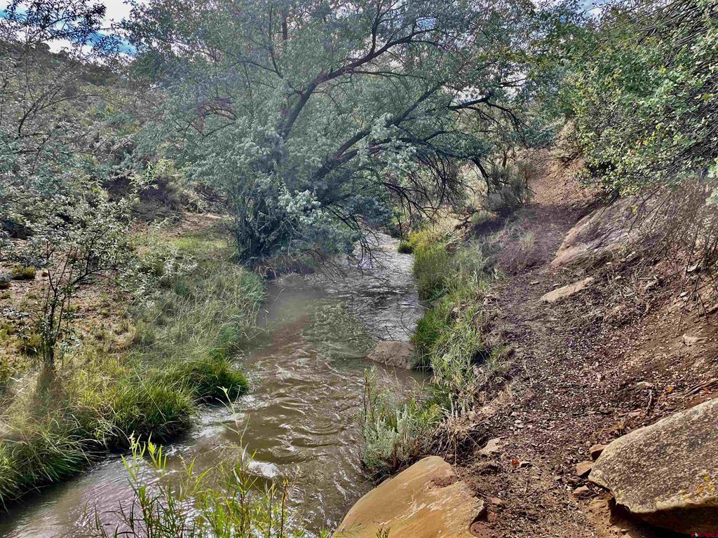 Tract 8 Road K.3 Cortez CO 81321