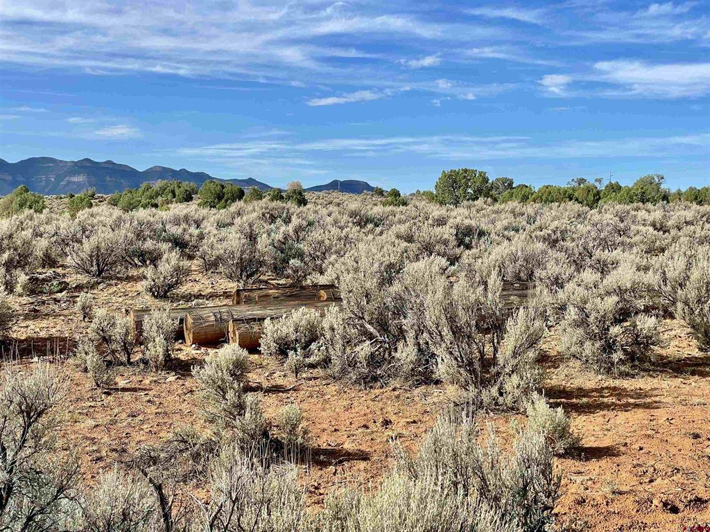 Tract 8 Road K.3 Cortez CO 81321