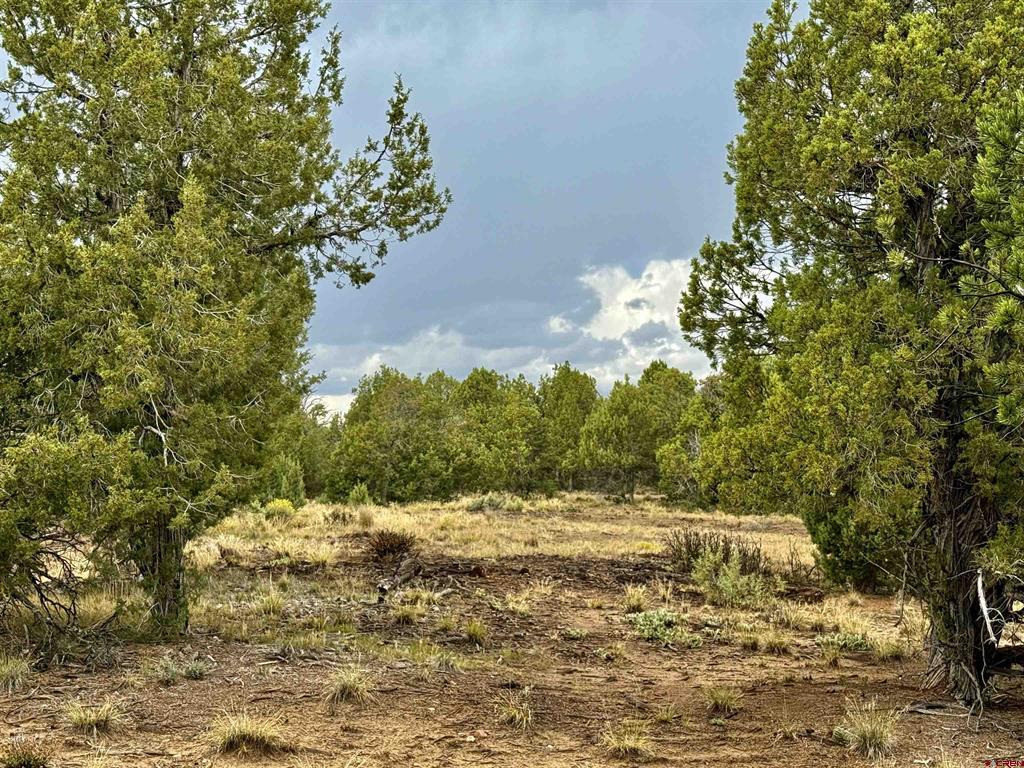 2543 Wrangler Way Durango CO 81301