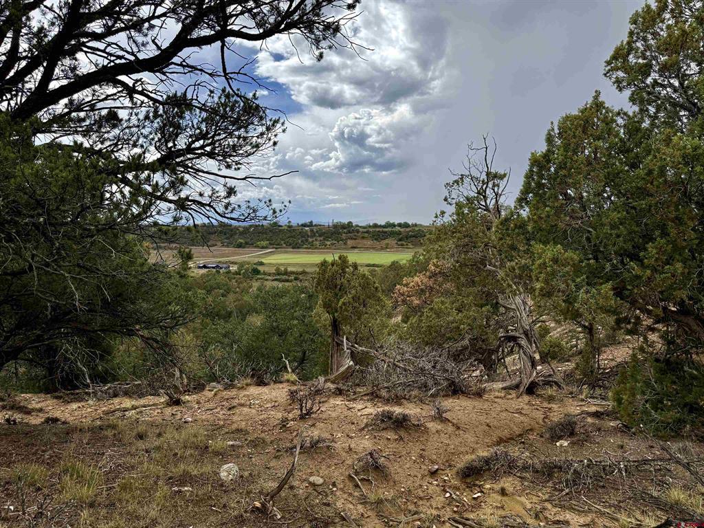 2543 Wrangler Way Durango CO 81301
