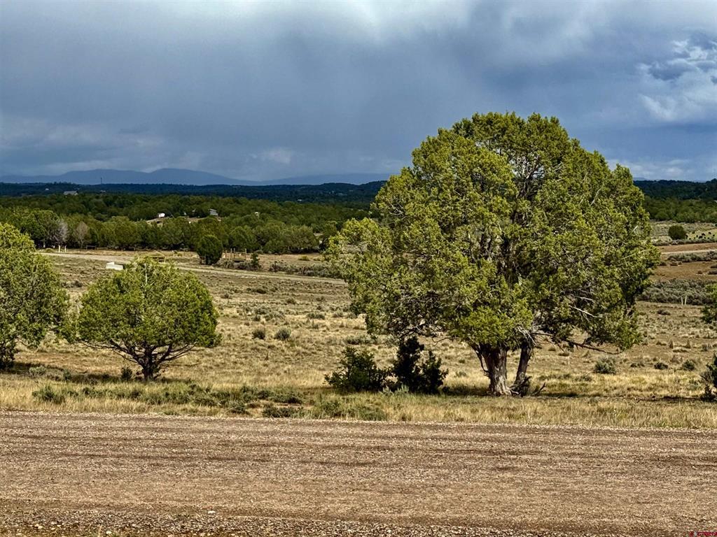 2543 Wrangler Way Durango CO 81301