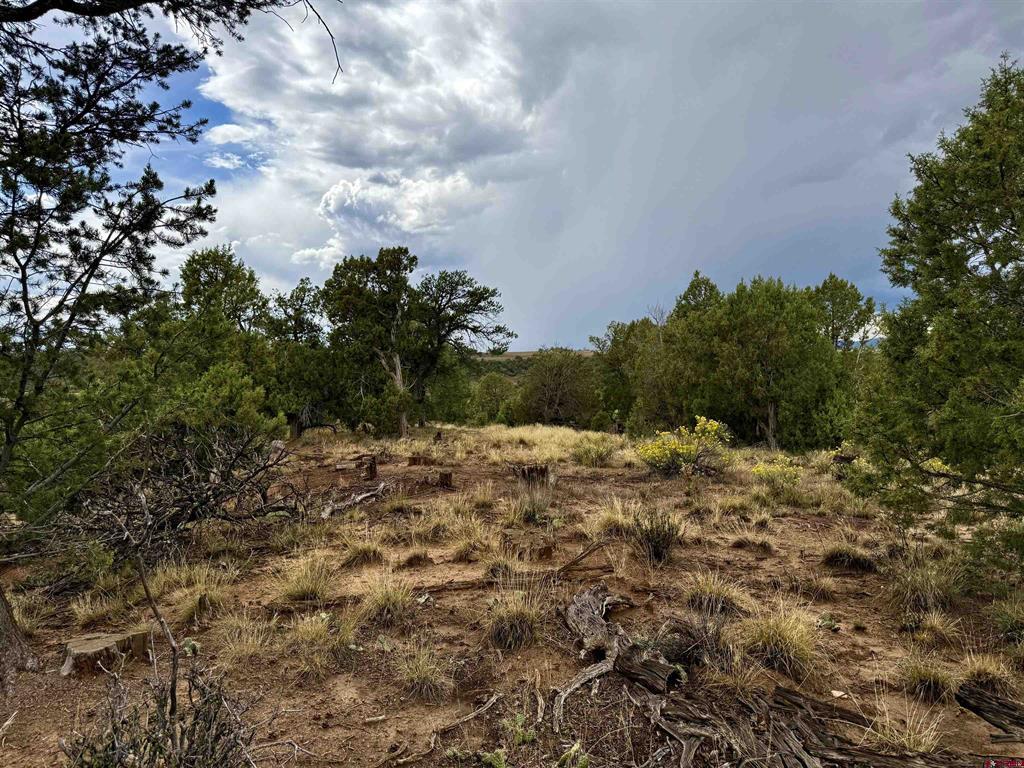 2543 Wrangler Way Durango CO 81301