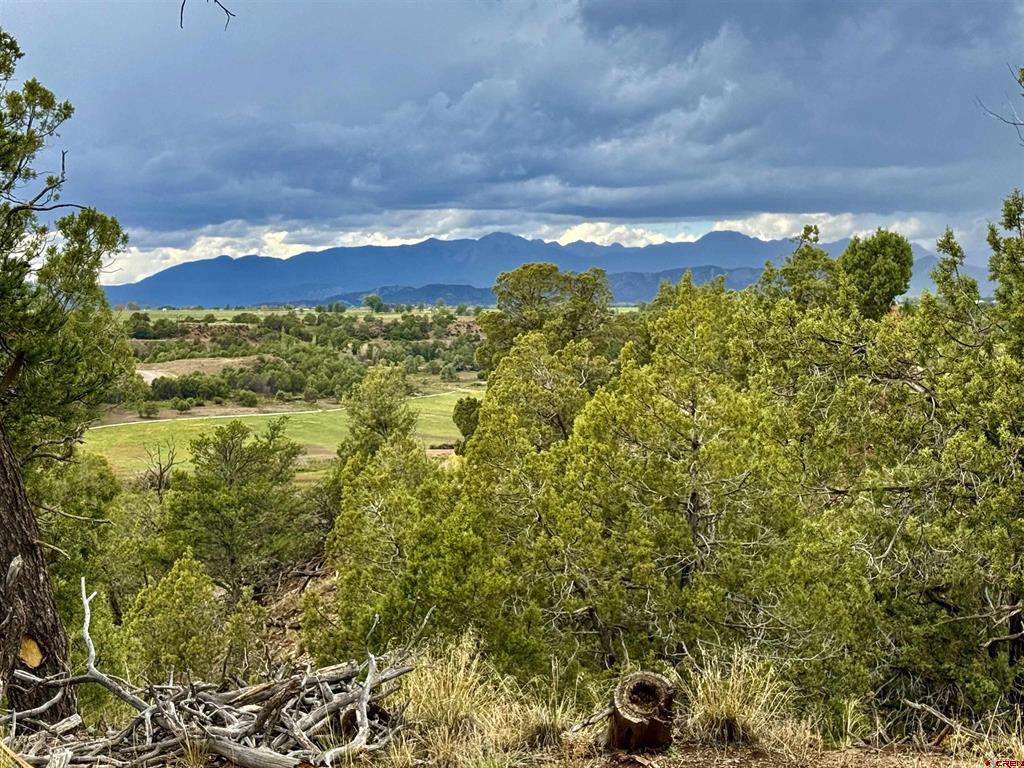 2543 Wrangler Way Durango CO 81301