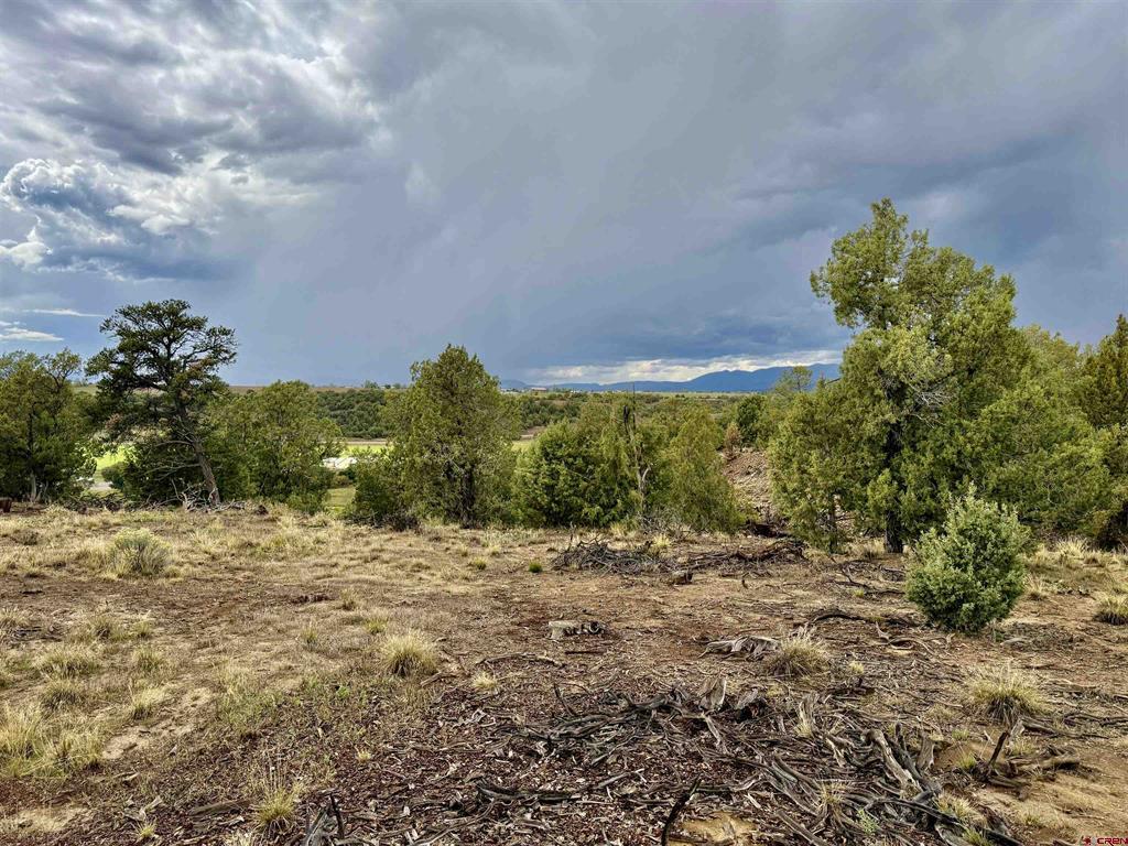 2543 Wrangler Way Durango CO 81301