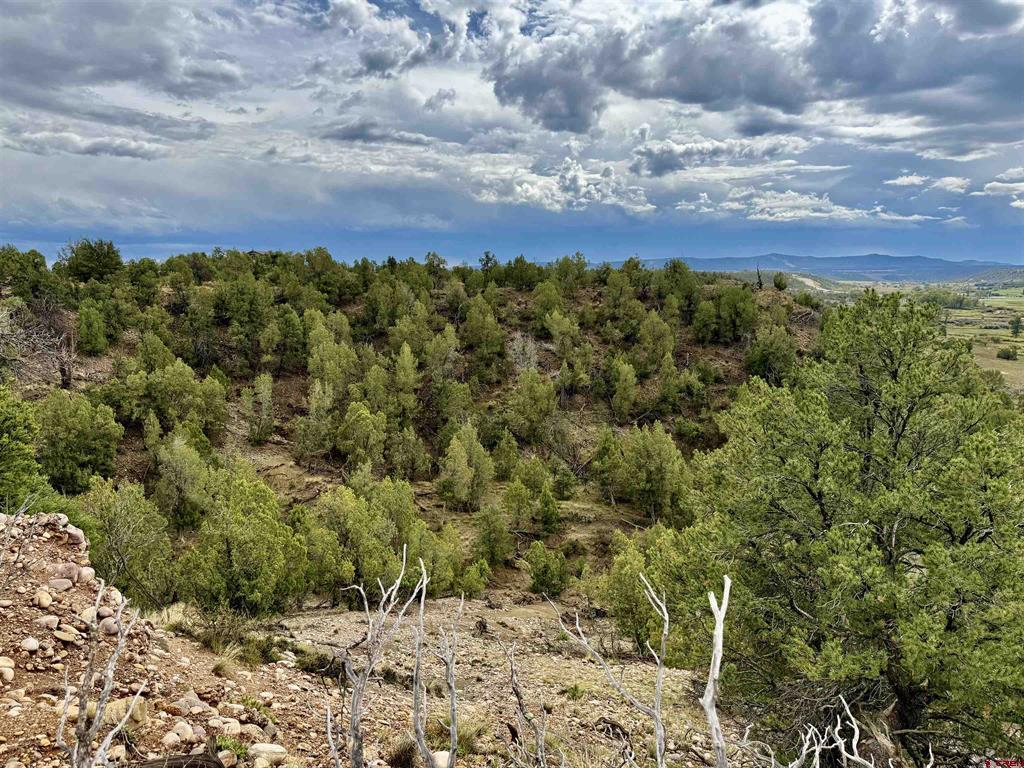 2543 Wrangler Way Durango CO 81301