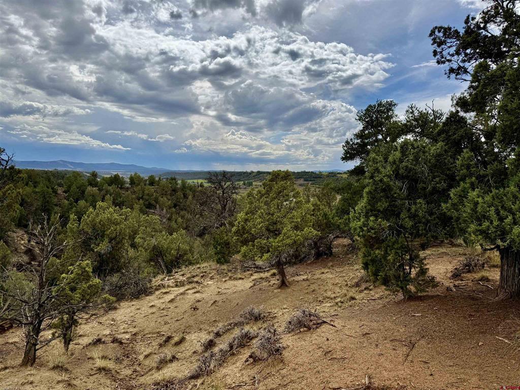 2543 Wrangler Way Durango CO 81301