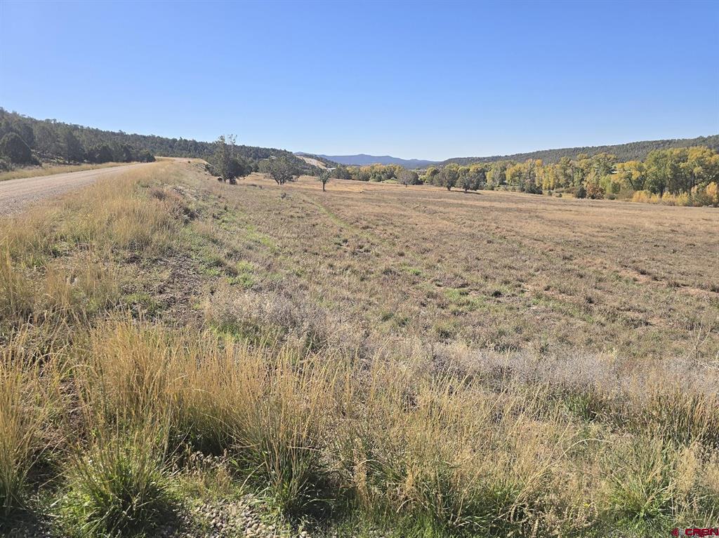 1308 Wrangler Way Durango CO 81303