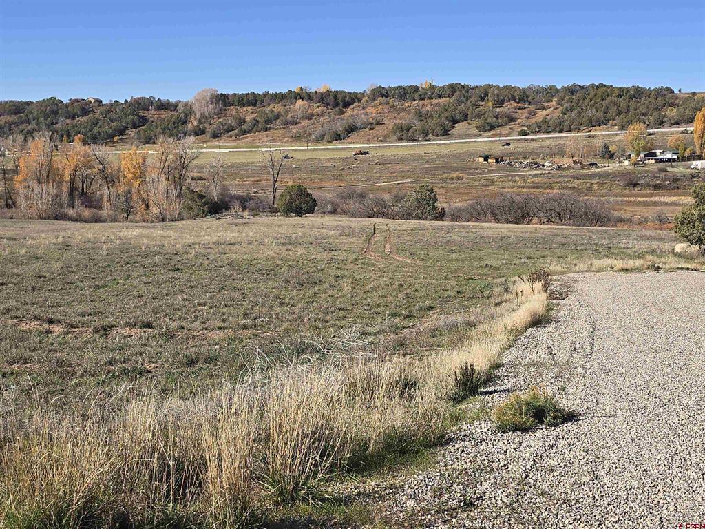 1308 Wrangler Way Durango CO 81303