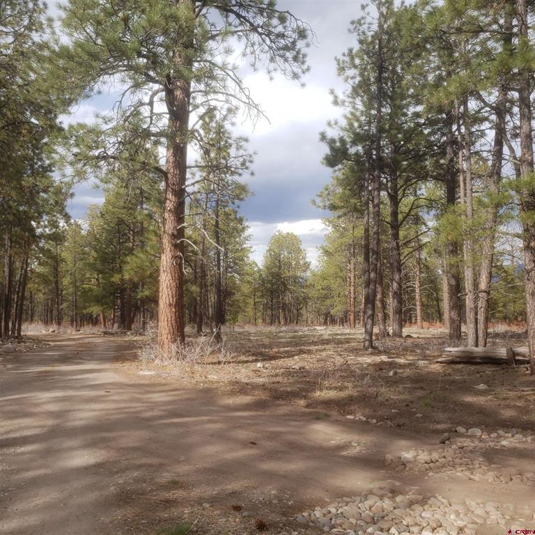 334 Wood Sorrel Lane Montrose CO 81403