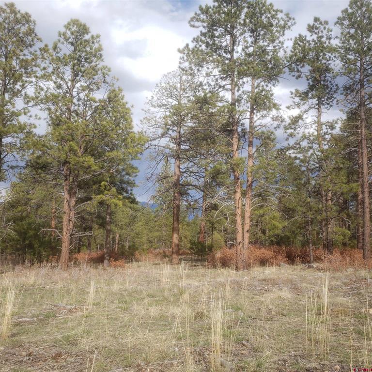 334 Wood Sorrel Lane Montrose CO 81403