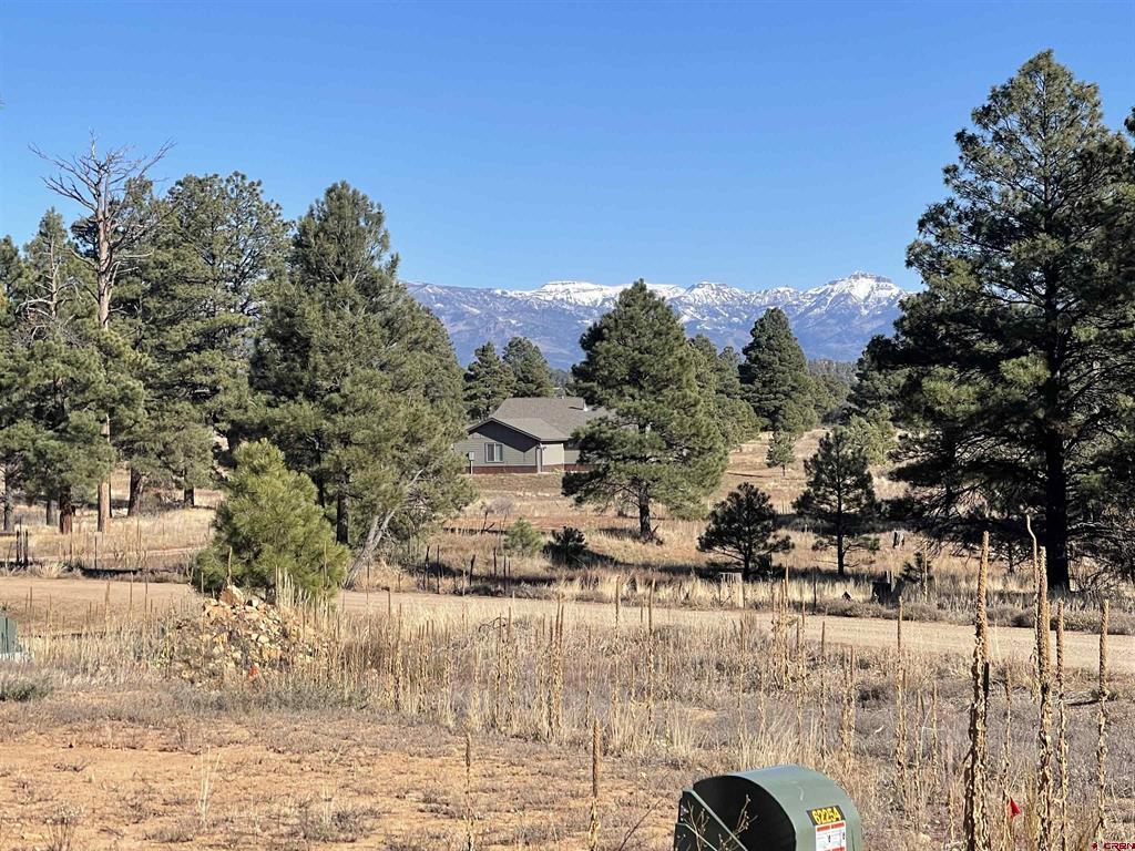 157 Mansions Circle Pagosa Springs CO 81147