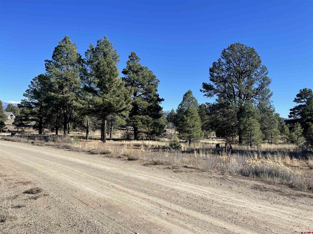 157 Mansions Circle Pagosa Springs CO 81147