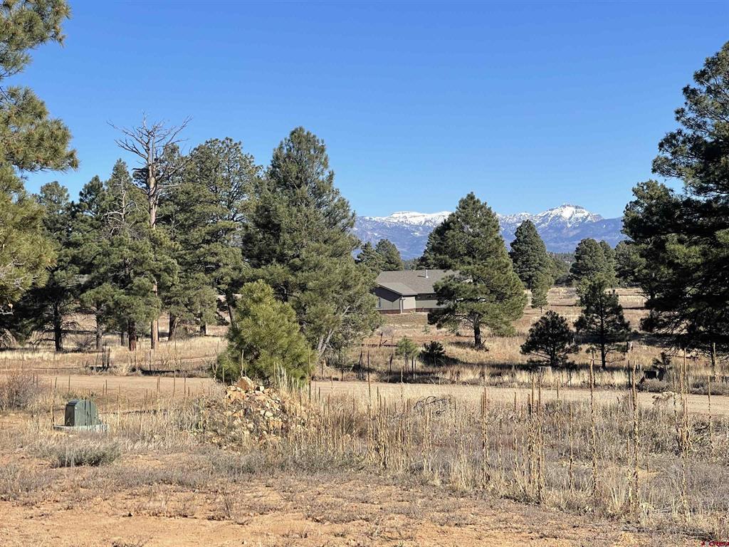 157 Mansions Circle Pagosa Springs CO 81147