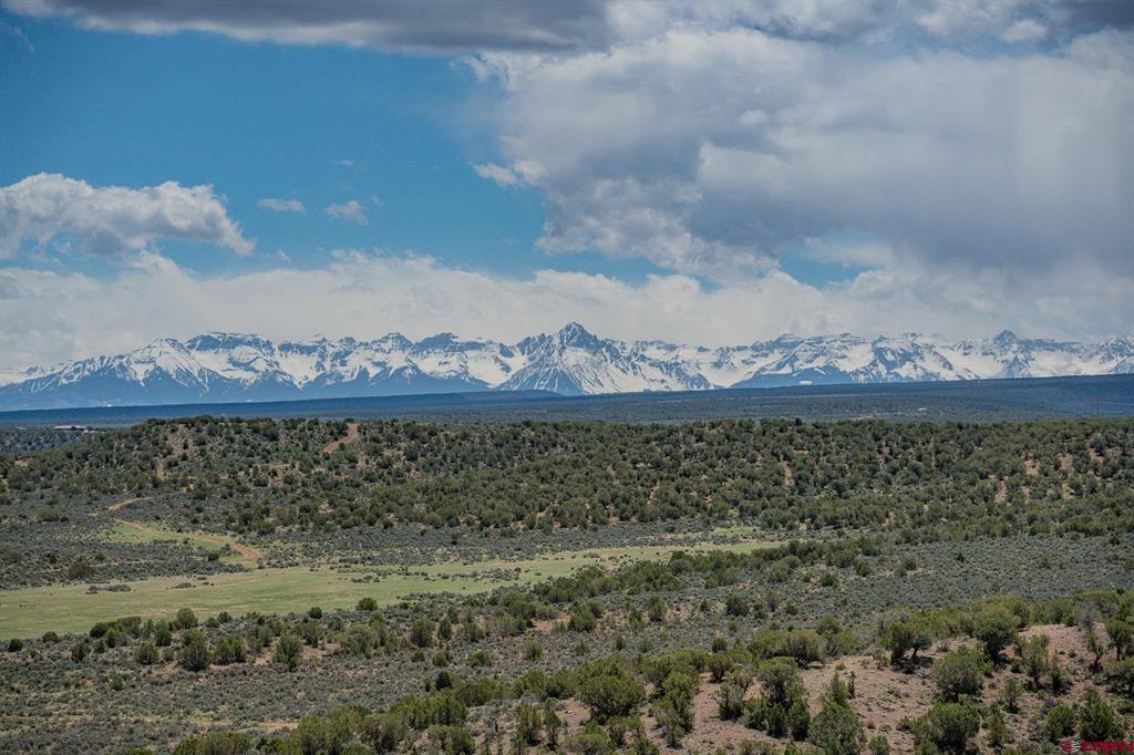 Tin Cup Lot 2 6300 Road Montrose CO 81403