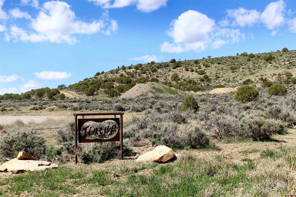 Tin Cup Lot 2 6300 Road Montrose CO 81403