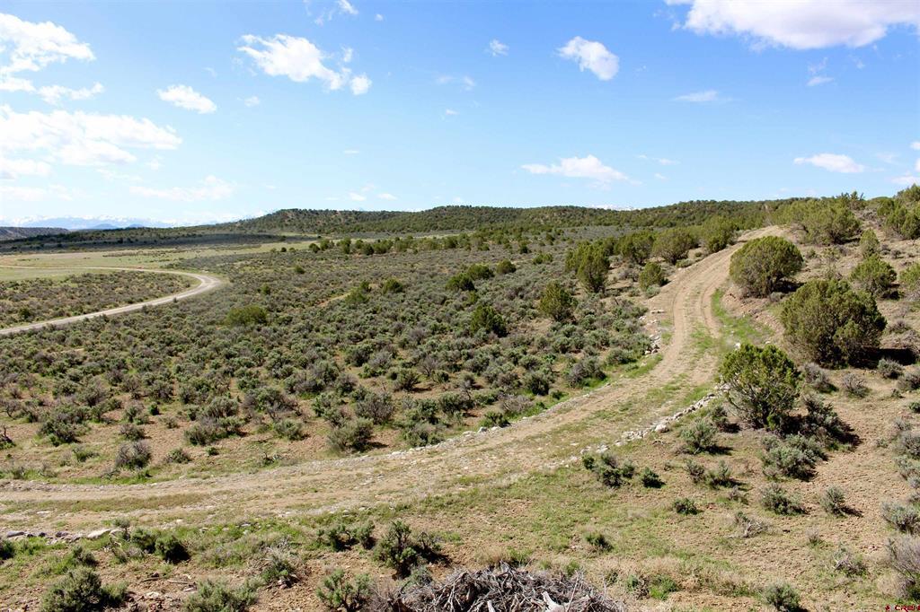 Tin Cup Lot 2 6300 Road Montrose CO 81403