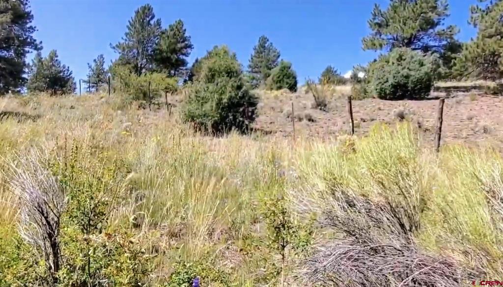 175 Bear Cub Hollow South Fork CO 81154