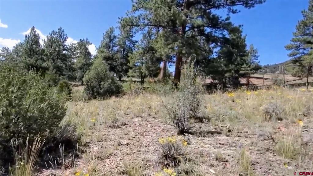 175 Bear Cub Hollow South Fork CO 81154