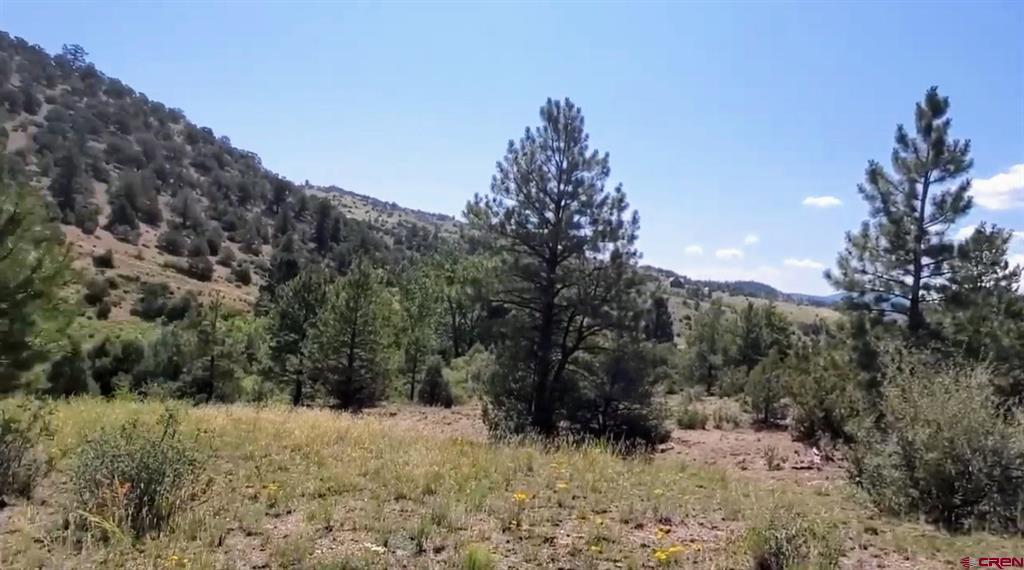 175 Bear Cub Hollow South Fork CO 81154