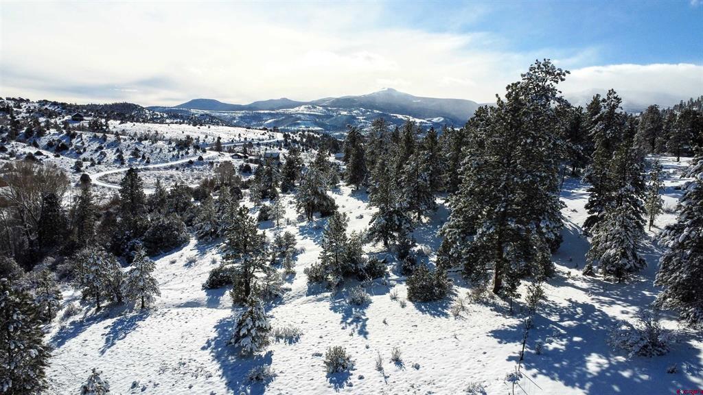 175 Bear Cub Hollow South Fork CO 81154