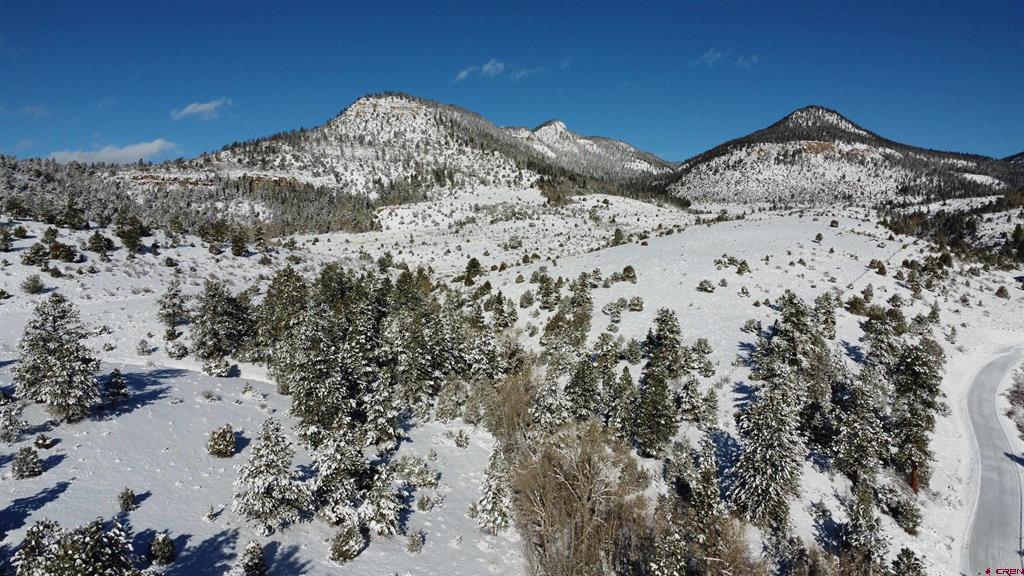175 Bear Cub Hollow South Fork CO 81154