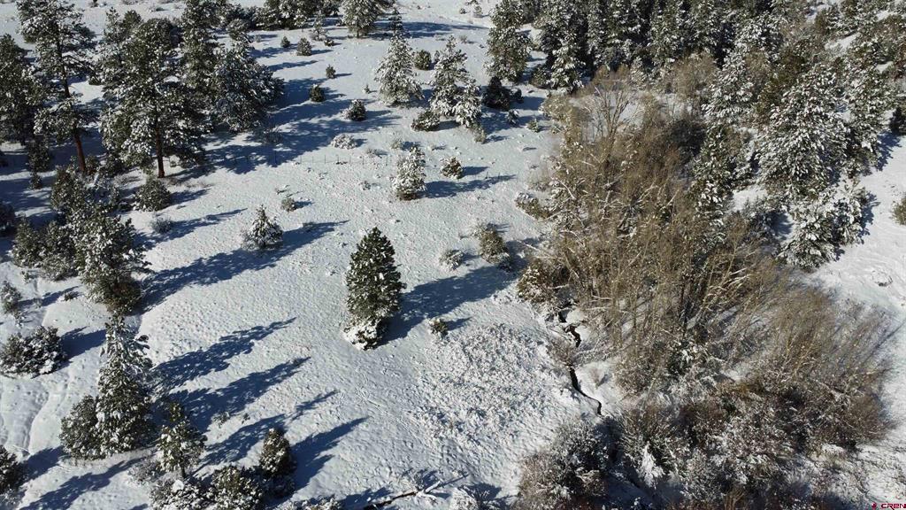 175 Bear Cub Hollow South Fork CO 81154
