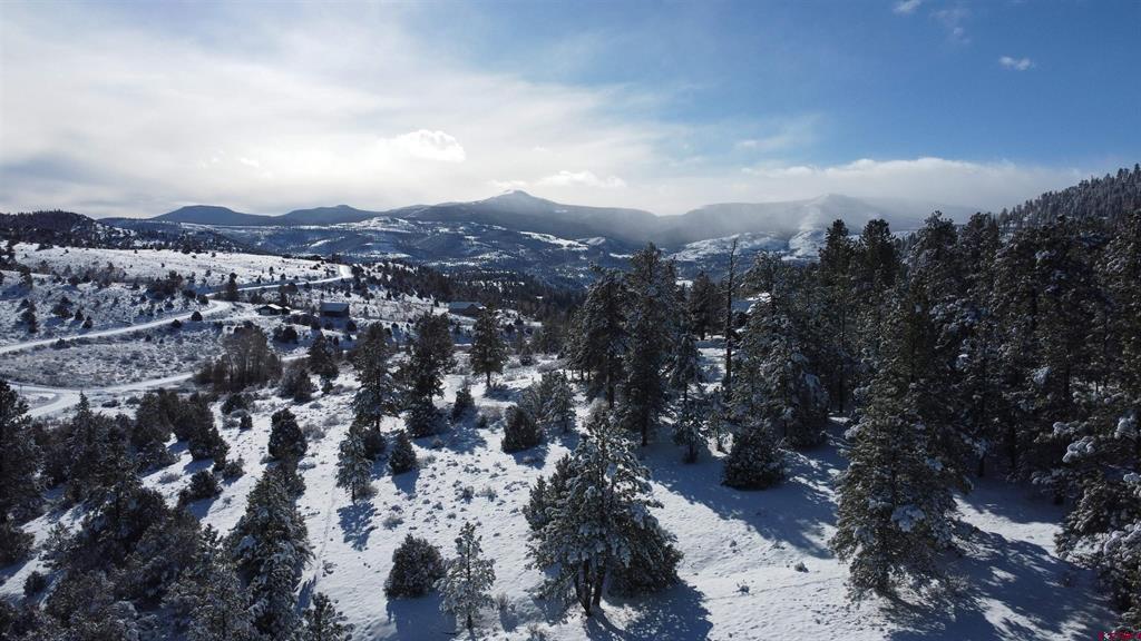 175 Bear Cub Hollow South Fork CO 81154