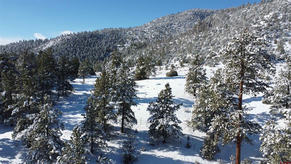 175 Bear Cub Hollow South Fork CO 81154