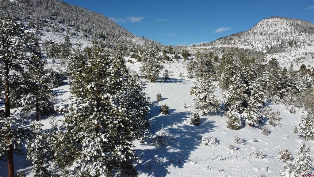175 Bear Cub Hollow South Fork CO 81154