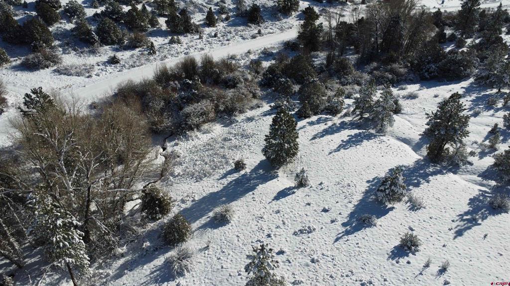 175 Bear Cub Hollow South Fork CO 81154
