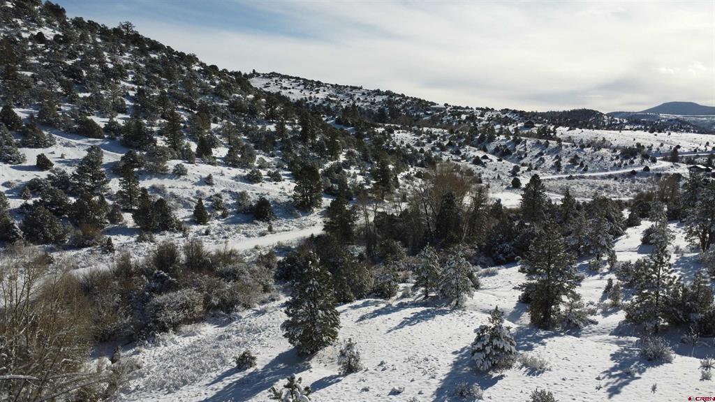 175 Bear Cub Hollow South Fork CO 81154