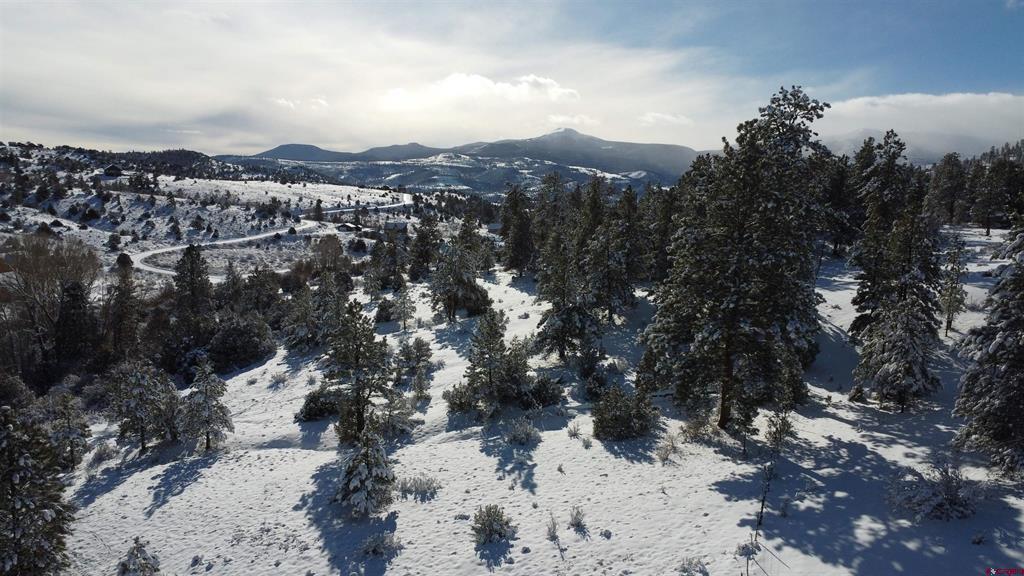 175 Bear Cub Hollow South Fork CO 81154