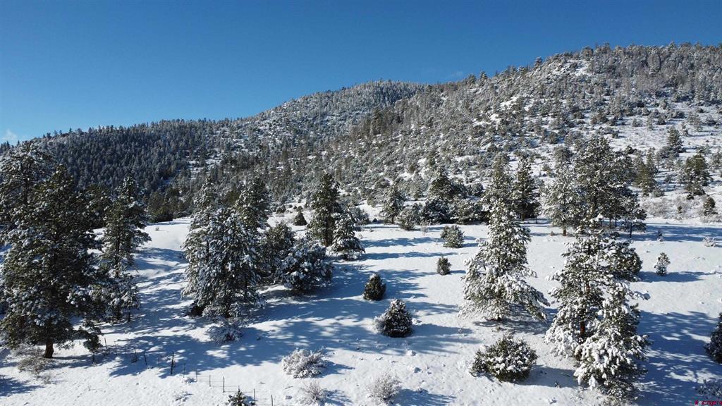 175 Bear Cub Hollow South Fork CO 81154