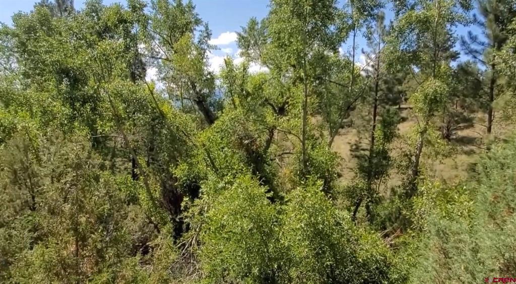 175 Bear Cub Hollow South Fork CO 81154
